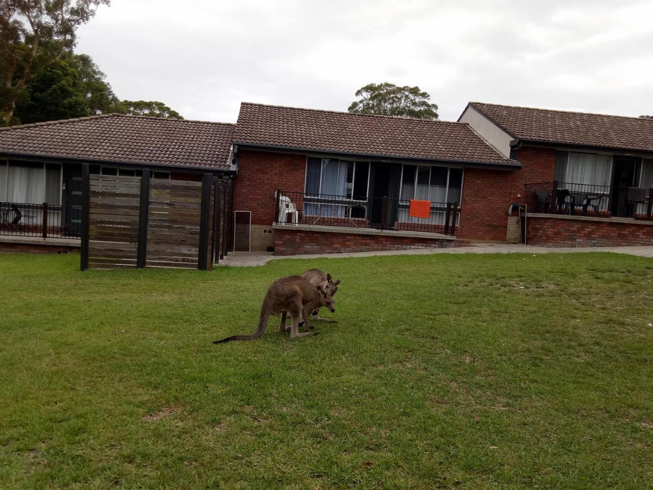 The Jervis Bay Villas Vincentia Eksteriør billede